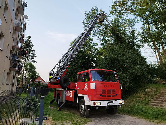 Powalone drzewo w pobliu bloku mieszkalnego w Koczewie