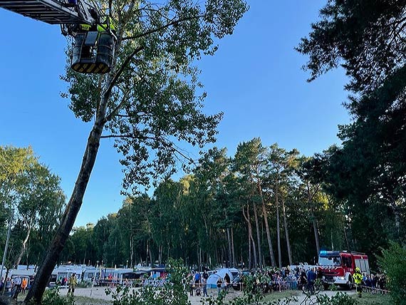 Drzewo w kadej chwili mogo spa na przyczep kempingow lub namiot!
