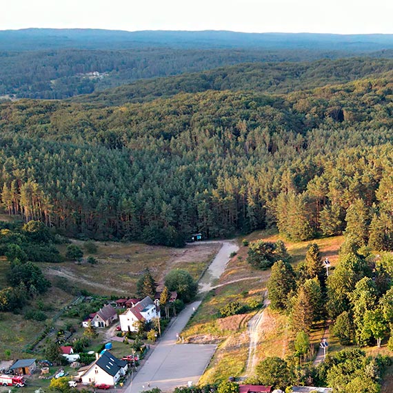 Dyrektor WPN: Drzew na opa nie wycinamy