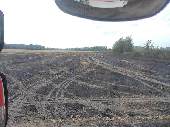 Groźny pożar w gminie Golczewo. Żywioł zajął ściernisko, kombajn i las!
