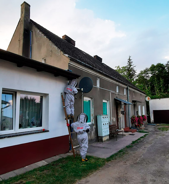 Strażacy jako pogromcy os. Usunęli gniazda owadów