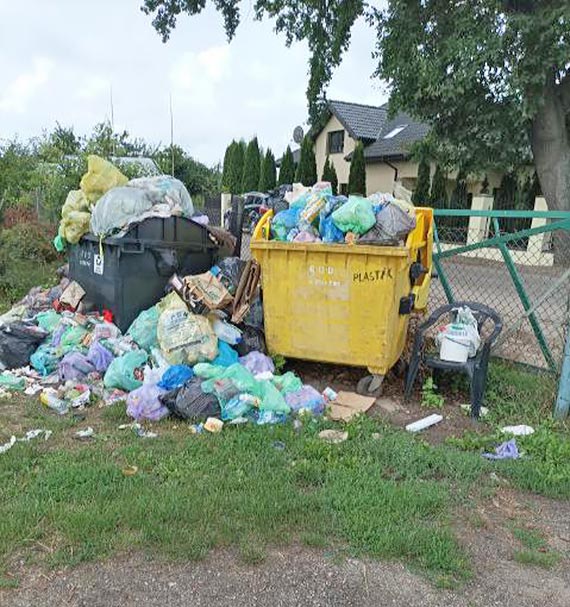 Kto posprząta tę wylęgarnię smrodu i zarazy