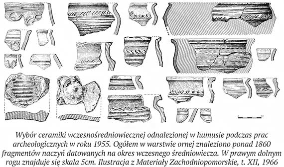 Badania archeologiczne na terenie grodziska wczesnośredniowiecznego w Gardźcu