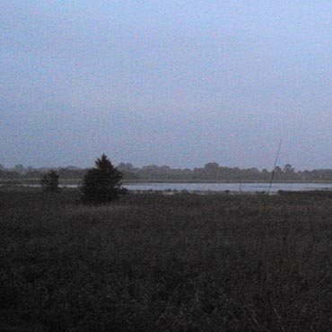 Skarchowo: Mieszka�cy nie mog� spa� przez my�liwych