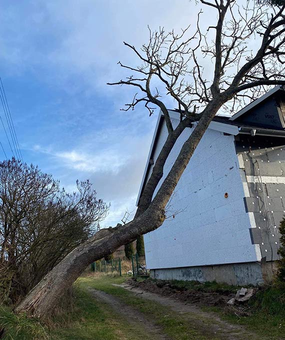 Straacy z OSP Koczewo usunli drzewo