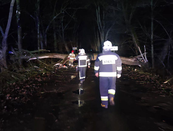 Strażacy z Jarszewa usuwali powalone drzewo, a ich koledzy z Kołczewa pomagali pogotowiu