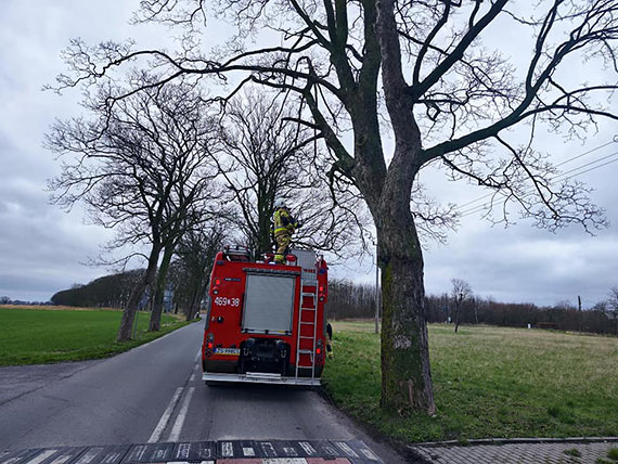 Wiatr hula w powiecie kamieńskim. Strażacy mają sporo pracy