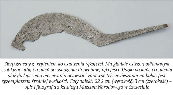 Wczesnośredniowieczny sierp z Golczewa