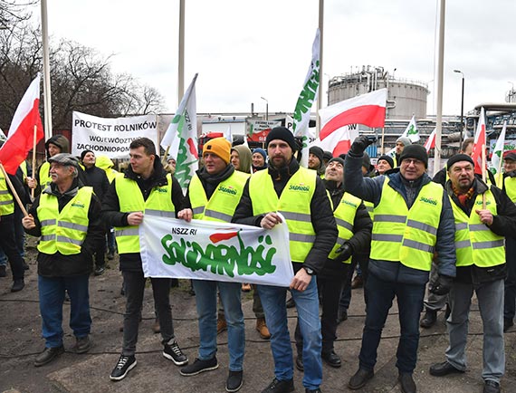 Puste nabrzeże zbożowe w Świnoujściu - jak zmarnować szansę na duży eksport zboża z Polski?