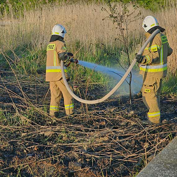 Pożar trzciny przy Marinie w Wapnicy: konsekwencje nieodpowiedzialnego postępowania