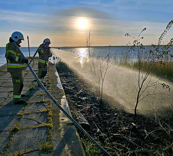 Pożar trzciny przy Marinie w Wapnicy: konsekwencje nieodpowiedzialnego postępowania
