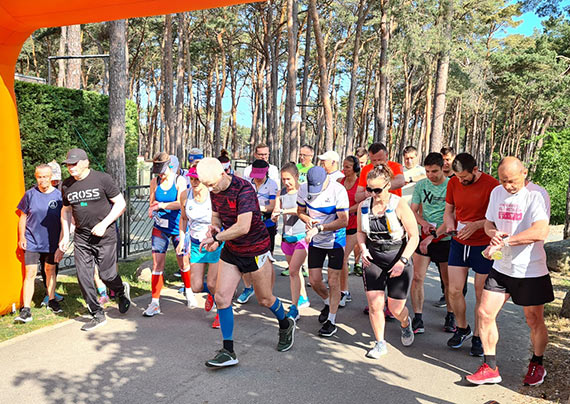 Pmaraton DLB
