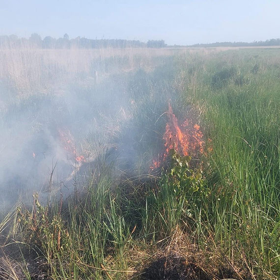 Pożar torfowiska w okolicach Wartowa