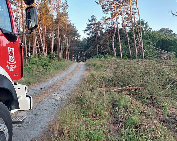 Osp Kołczewo, alarm na powalone drzewo