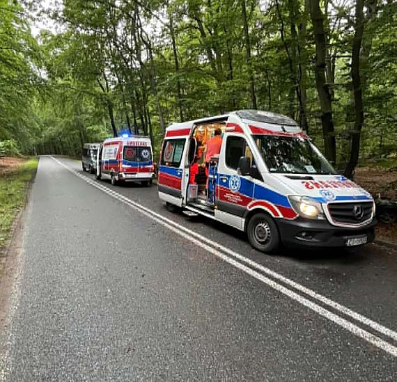 Wypadek drogowy na drodze wojewódzkiej 102 pomiędzy Wisełką a Międzyzdrojami: Mazda cabrio wypadła z jezdni i uderzyła w drzewo - kierowcę zabrano do szpitala