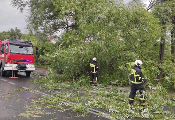Wiatr przechylił drzewo - było niebezpiecznie