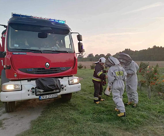 Straacy uwolnili mieszkacw od uciliwego towarzystwa
