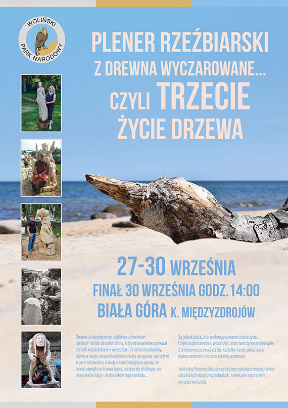 Plener Rzebiarski „Z drewna wyczarowane, czyli trzecie ycie drzewa”