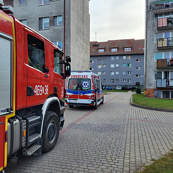 Straacy i ratownicy medyczni we wsplnej akcji