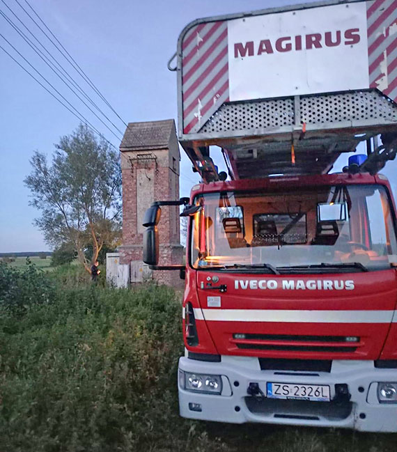 Gniazdo szerszeni pod trafostacją - akcja strażaków w Jatkach
