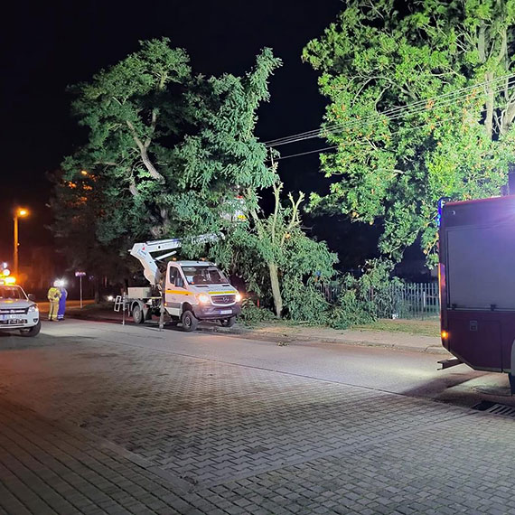 Naderwana linia energetyczna w Wolinie