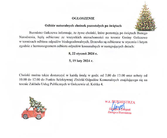 Odbir naturalnych choinek pozostaych po witach