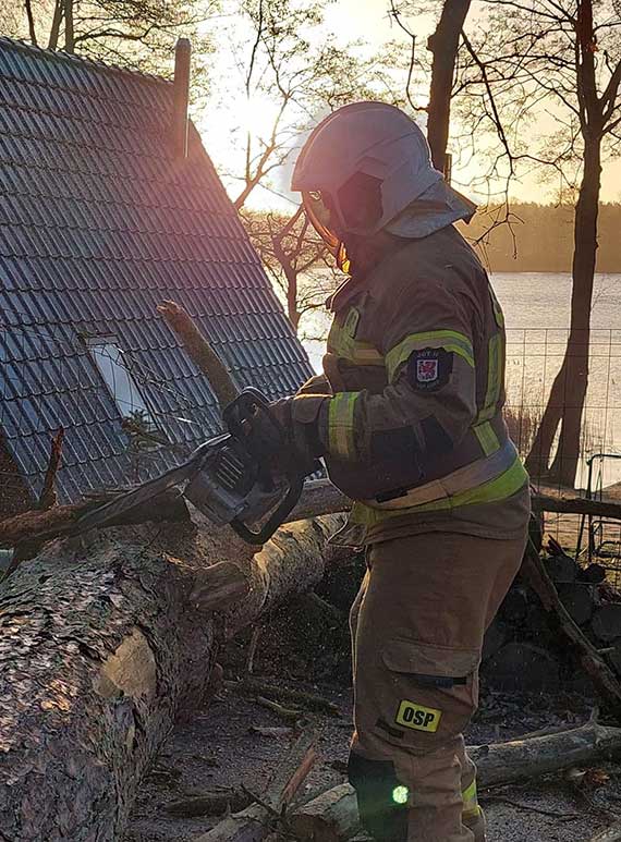 OSP Kołczewo interweniuje przy przewróconym drzewie w Żółwinie