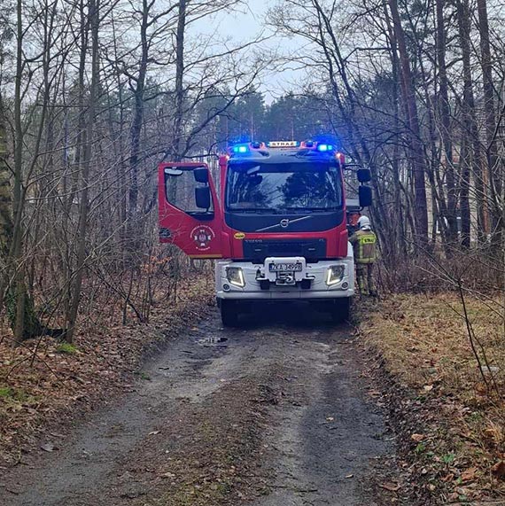 Powalone drzewo blokowao dojazd do stacji PKP w adzinie
