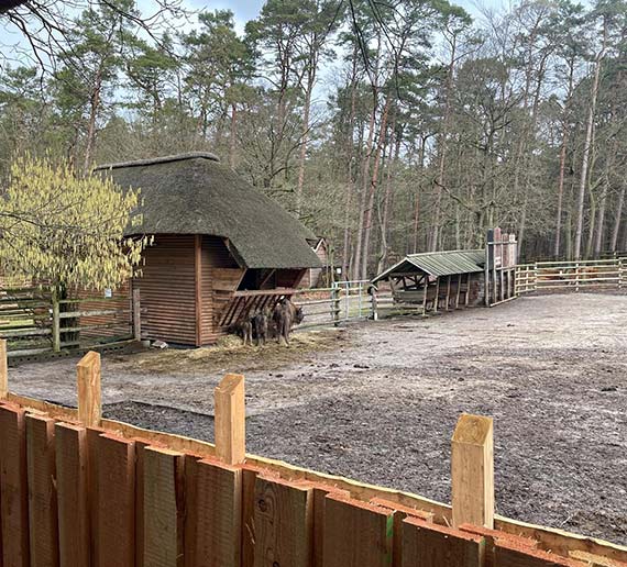 Aktywne Ferie: Spacer po Woliskim Parku Narodowym