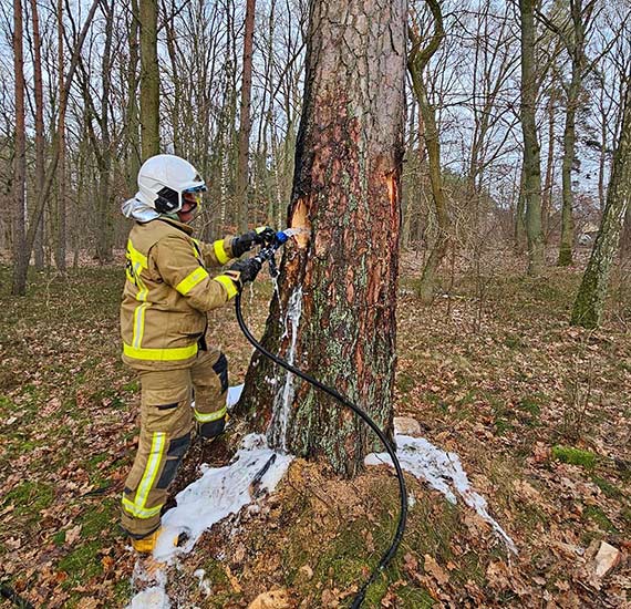 Poar drzewa na drodze dojazdowej do stacji PKP
