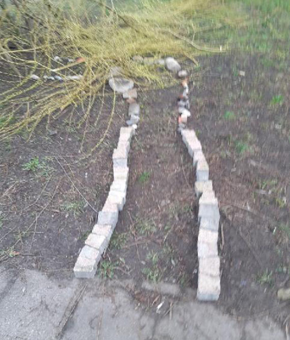 Mieszkaniec: Wycinka drzew po kamieńsku