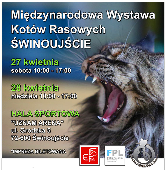 MIDZYNARODOWA WYSTAWA KOTW RASOWYCH – WINOUJCIE 2024: Informacja dla Zwiedzajcych