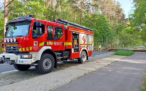 Strażacy z OSP Kołczewo usunęli dwa drzewa