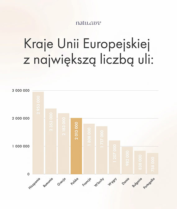 20 maja: wiatowy Dzie Pszcz - pommy zapylaczom!