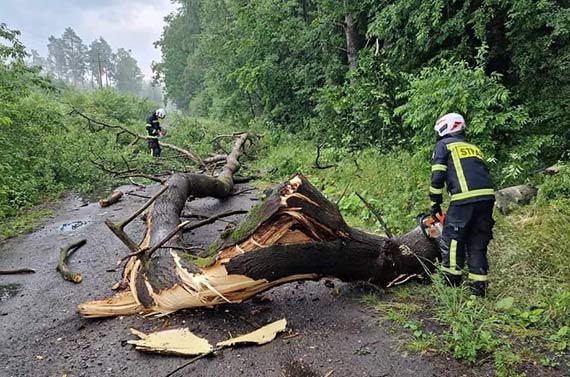 KPPSP Kamie Pomorski - po nawanicy byo ponad 60 interwencji