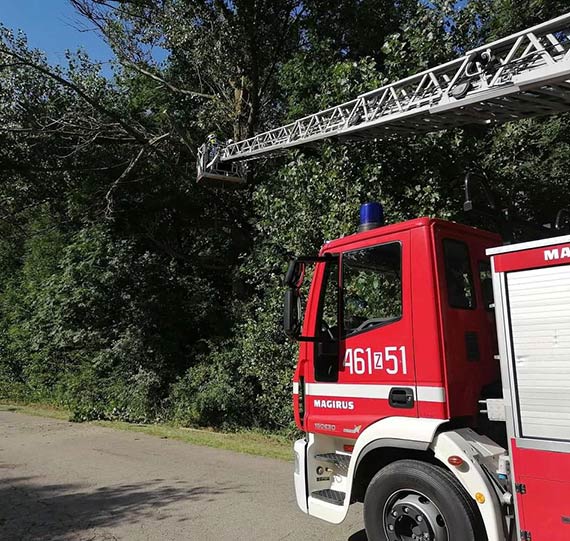 Akcja Strażacka w Jarszewie: Usunięcie Uszkodzonego Drzewa