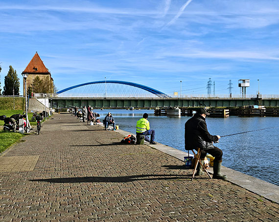 Wielkie branie okonia nad Dziwną w Wolinie