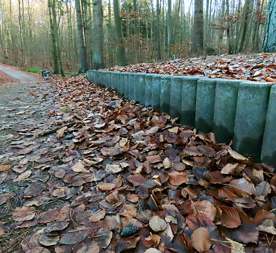 Drewniane zabezpieczenia ścieżki rowerowej na wydmach nie spełniają swojej funkcji