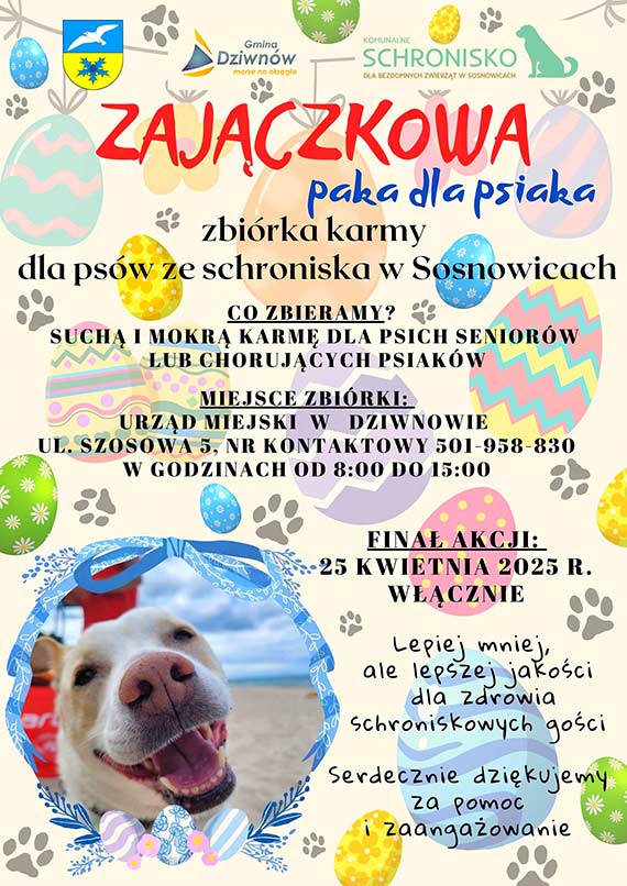 Zajączkowa paka dla psiaka