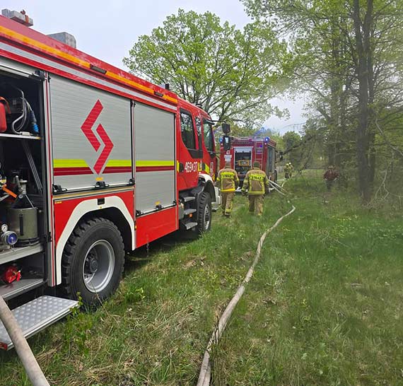 Pożar przy torach kolejowych w Ładzinie. Interweniowali strażacy z OSP Kołczewo