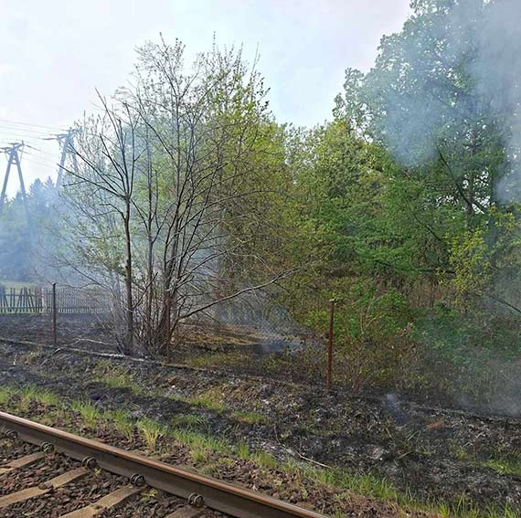 Pożar przy torach kolejowych w Ładzinie. Interweniowali strażacy z OSP Kołczewo