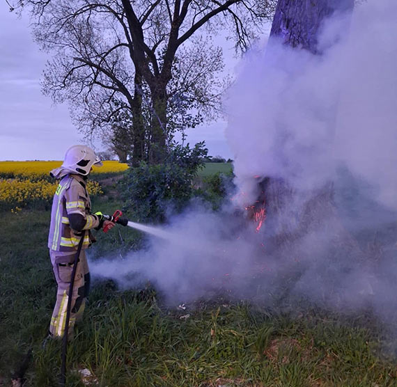 Strażacy z OSP Kołczewo gasili pożar drzewa w okolicach Sierosławia