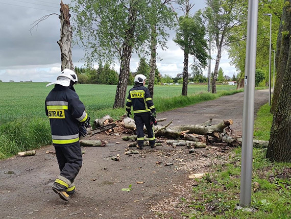 Strażacy usunęli powalone drzewo w Jarszewie