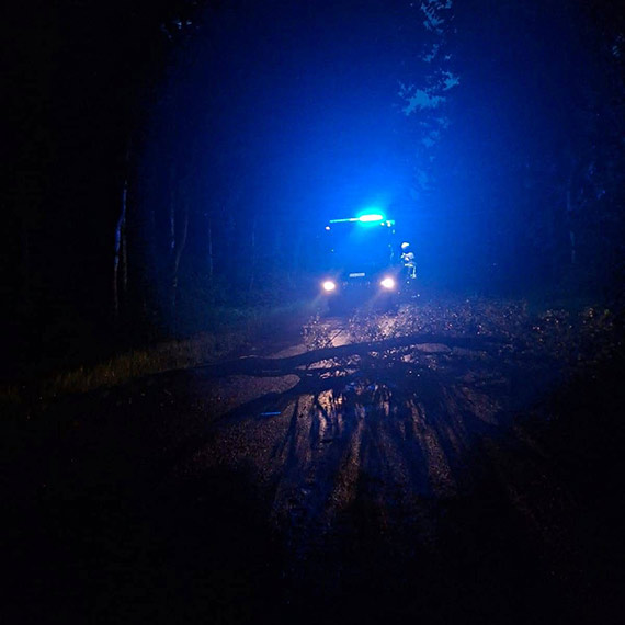 Nocna interwencja OSP Świerzno: drzewo zatarasowało drogę między Świerznem a Gostyńcem