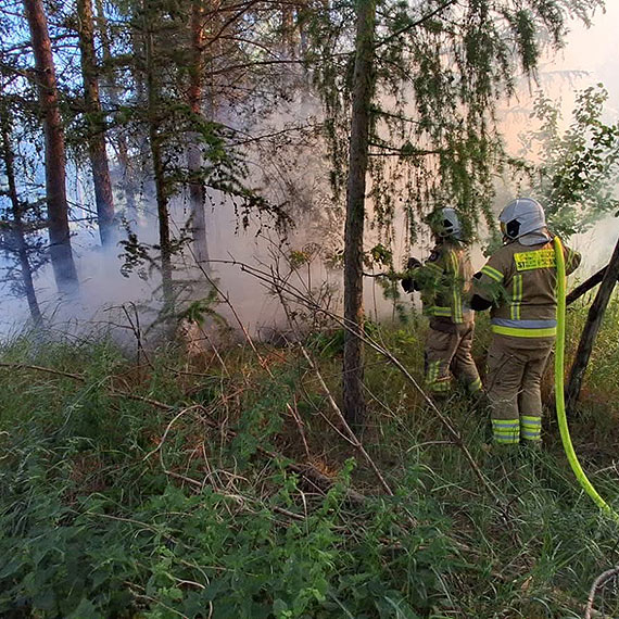 Szybka akcja strażaków uratowała zabudowania przed ogniem