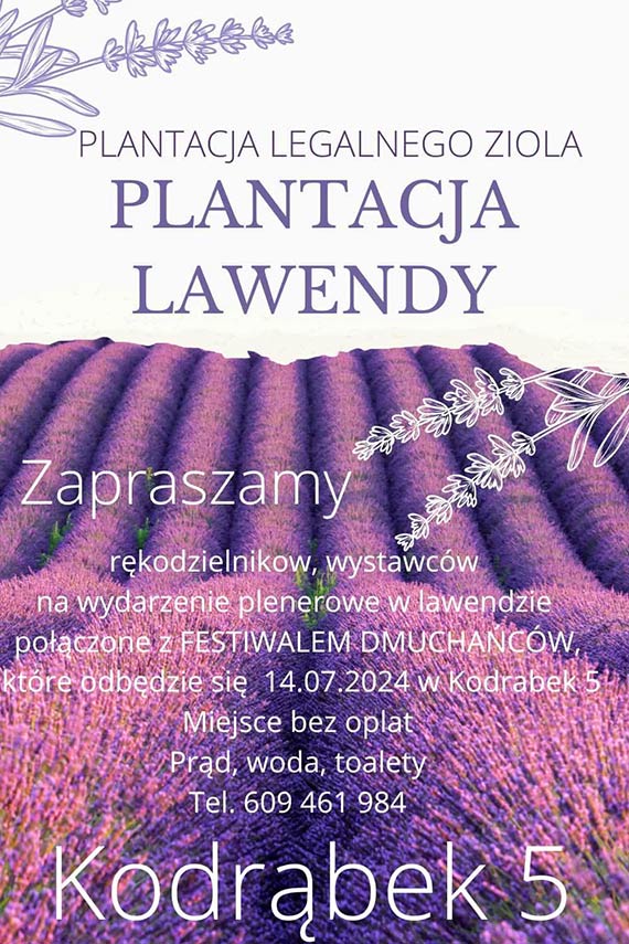  Lawendowe wito w Kodrbku – zapach, kolory i relaks na plantacji!