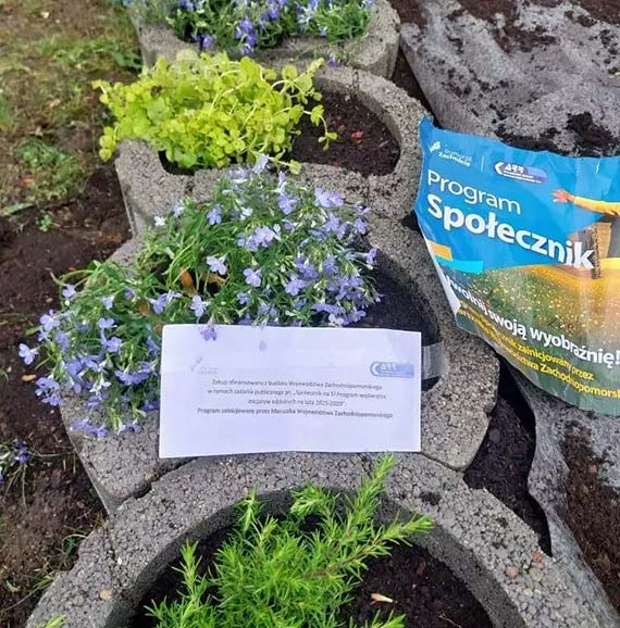 Oaza Zieleni – Miejsce, Które Łączy i Inspiruje