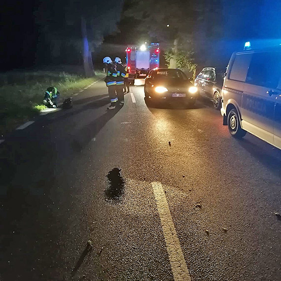 Citroën roztrzaskany o drzewo. Kierowca zginął na miejscu