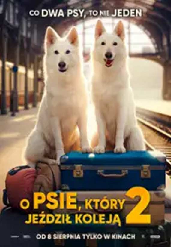 Letni repertuar kinowy: Co warto obejrze w sierpniu?