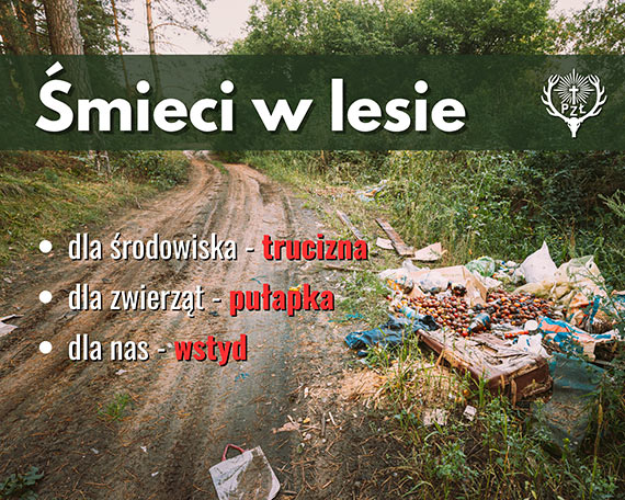 ZWIERZTA NIE MIEC. LUDZIE – TAK! Ty nie widzisz, ale one czuj. Dlaczego mieci w lesie to nie tylko brzydki widok?